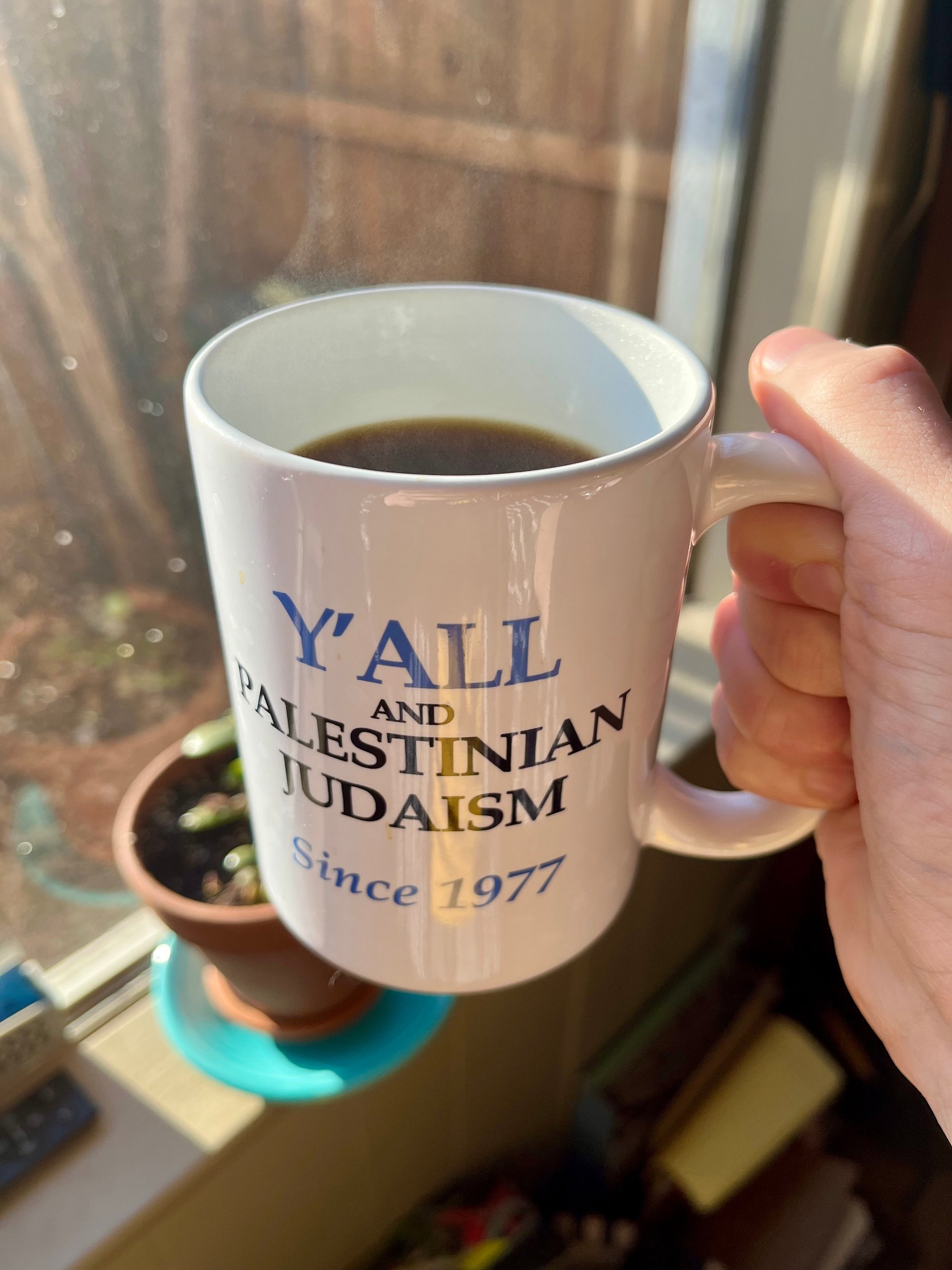 Y'all and Palestinian Judaism Mug product image (1)