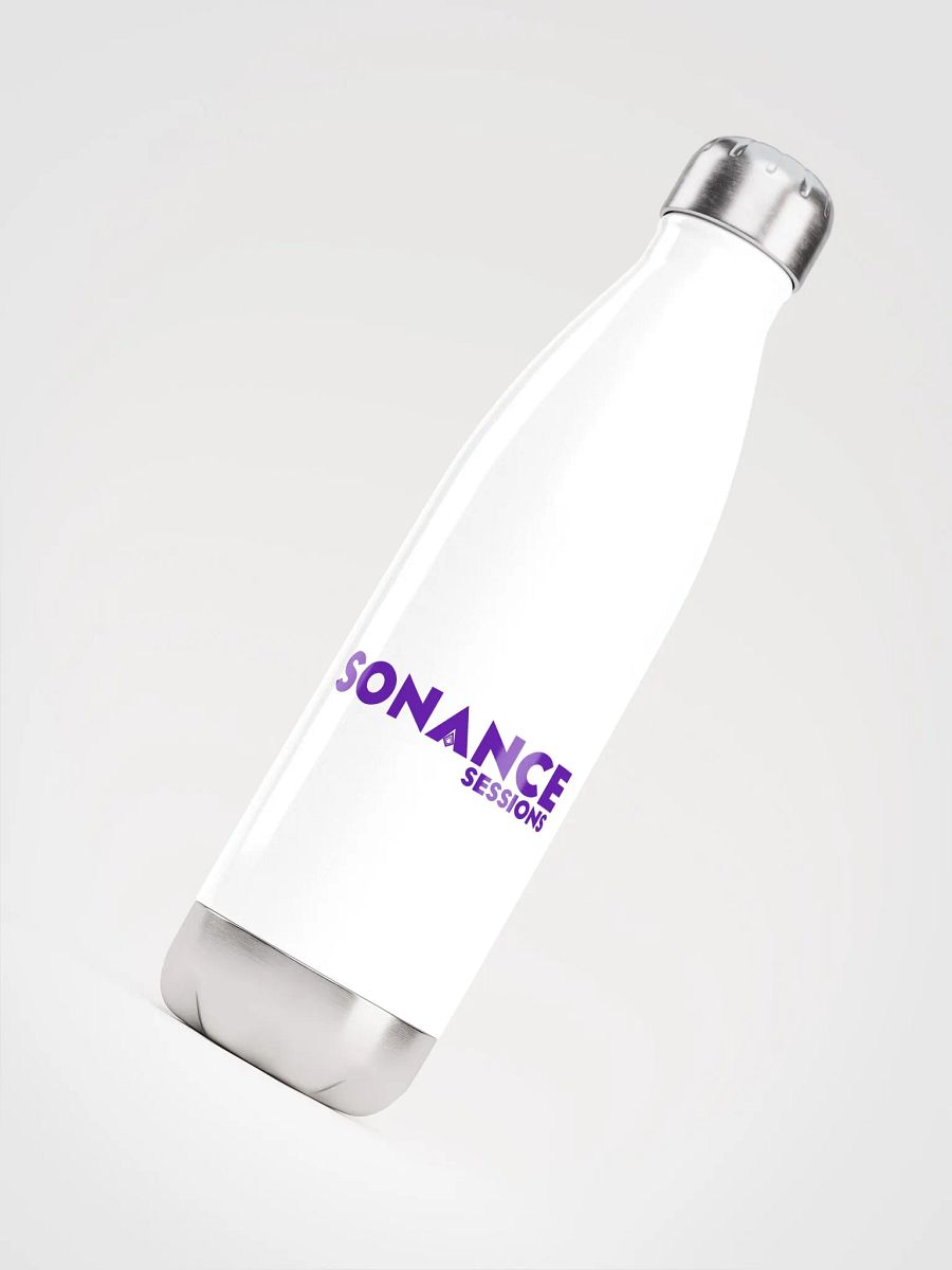 Copy of Stainless Steel Water Bottle product image (7)