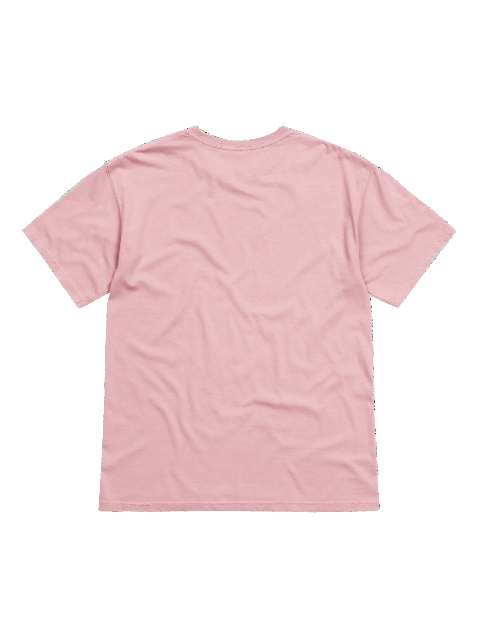 THE Swiftletgaming Tee Archived product image (3)