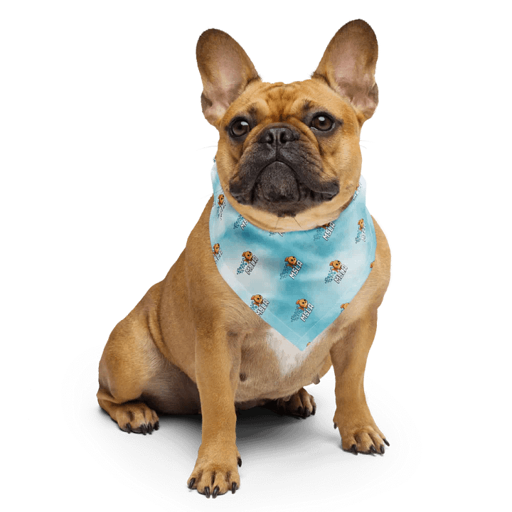 Neptune - Bandana product image (1)