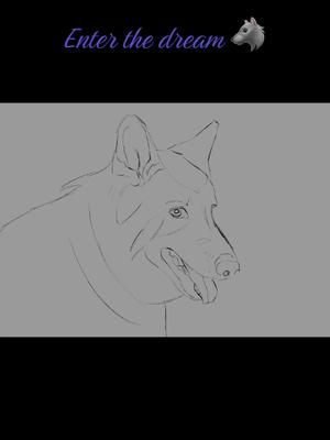 Yona Floof speedsketch as seen live on twitch 🐺❤️ #fyp #procreate #art #painting #dog #wolf #twitch