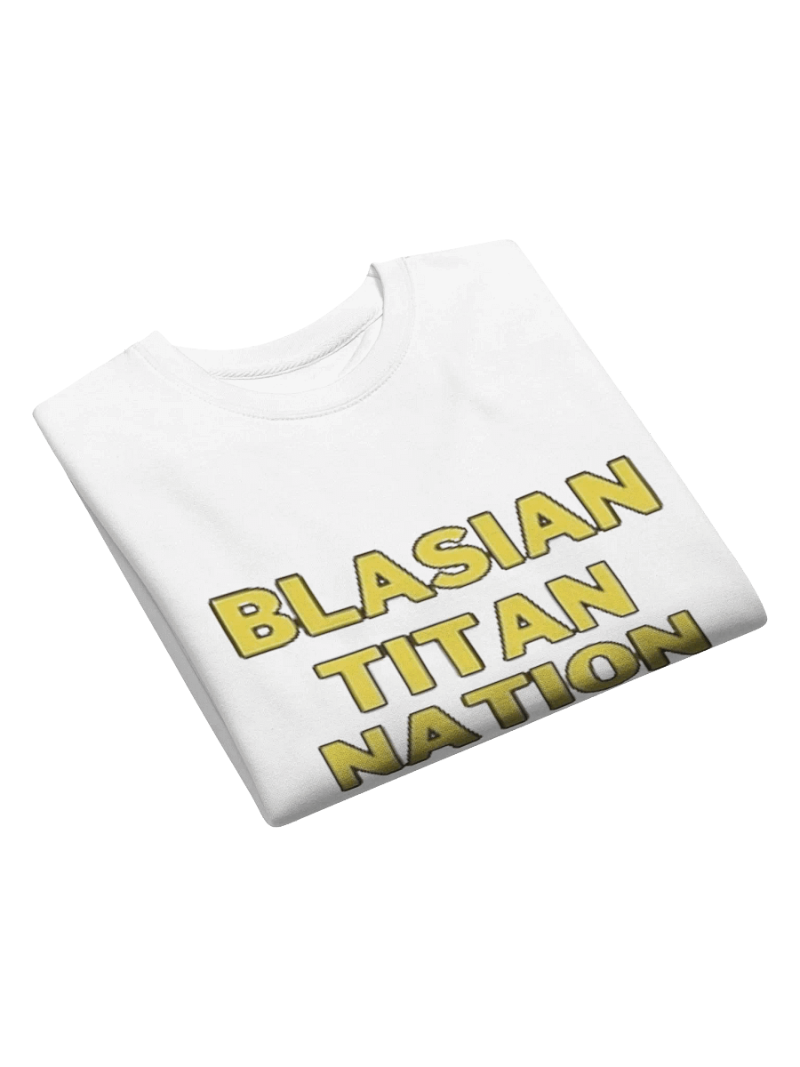 BTN SWEATSHIRT product image (3)