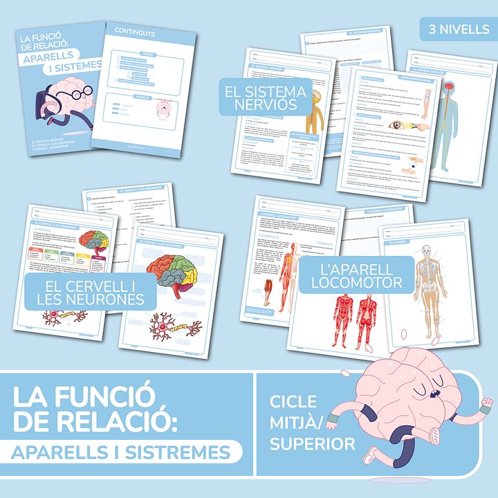 La funció de relació: aparells i sistemes product image (1)