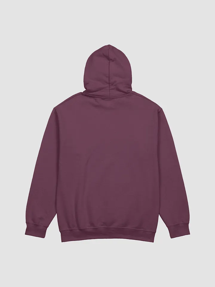 In My Pumpkin Spice Era Hoodie product image (2)