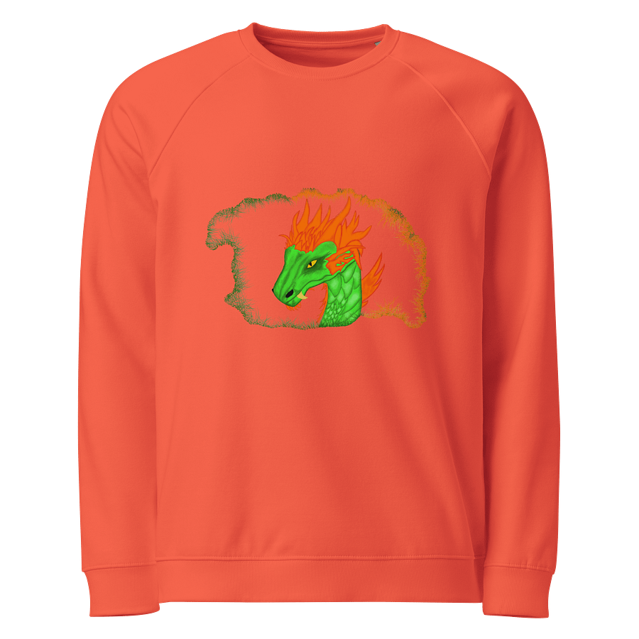 Dragonfire Unisex Organic Raglan Sweatshirt product image (1)