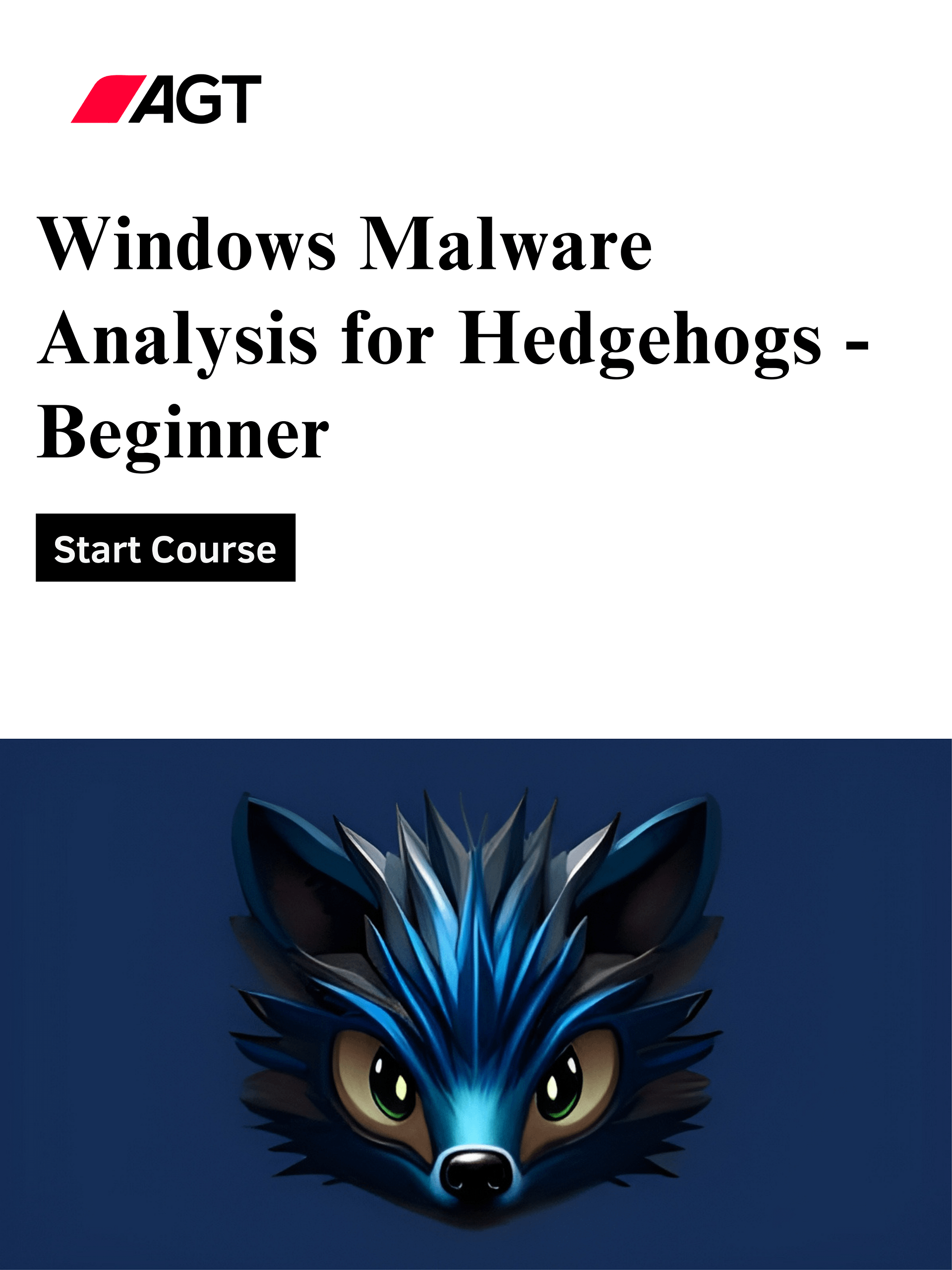 Windows Malware Analysis for Hedgehogs - Beginner product image (1)