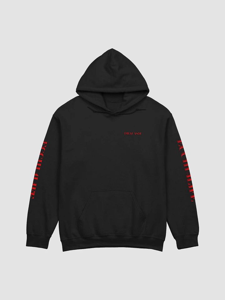 ECCHI 4LIFE HOODIE product image (2)