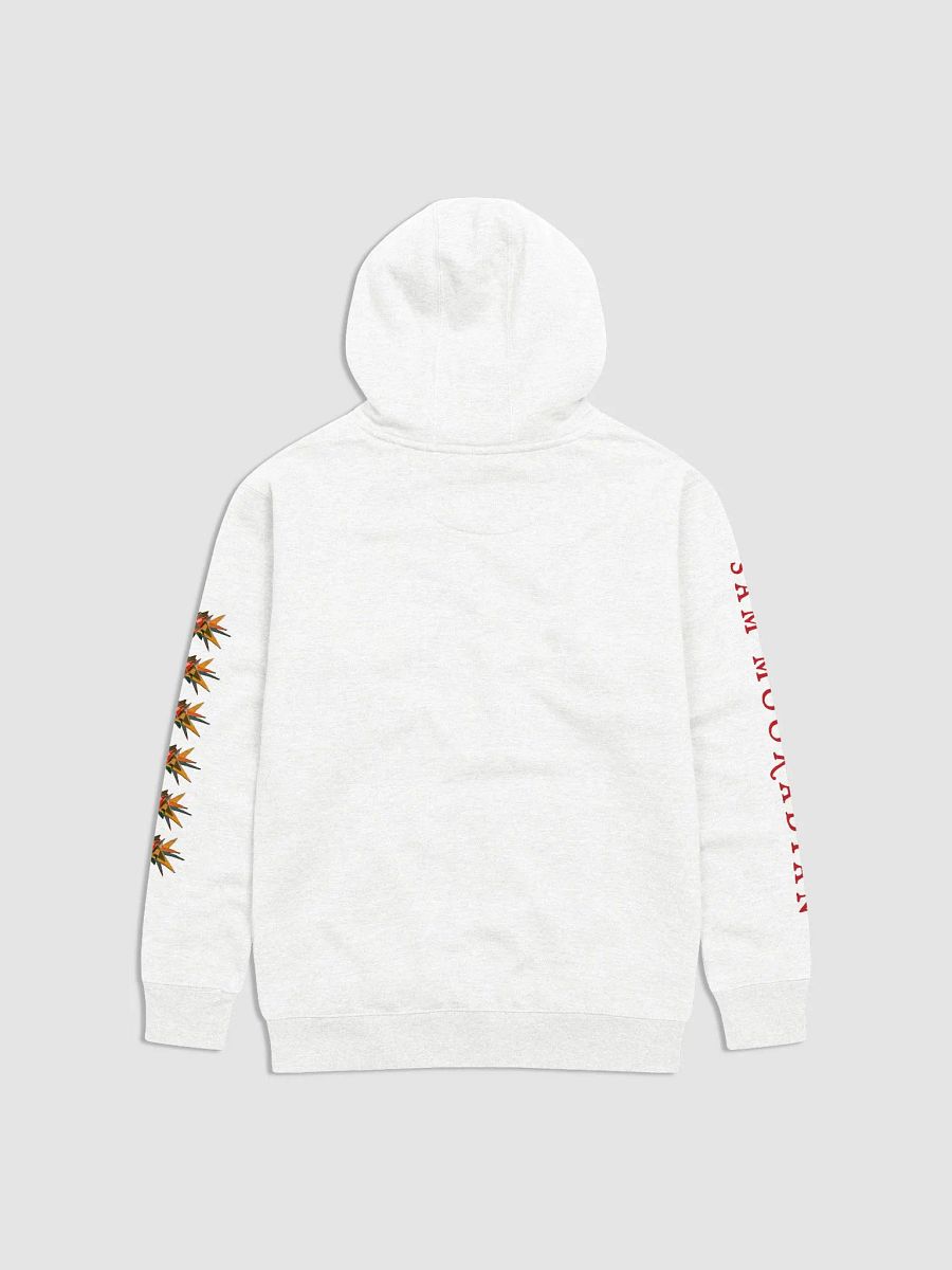 Bad Brain Hoodie product image (2)