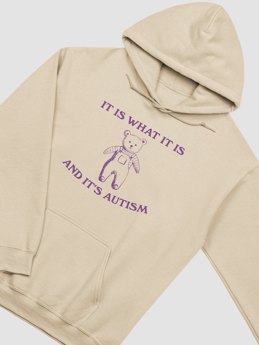It is what it is and its autism Hoodie product image (17)