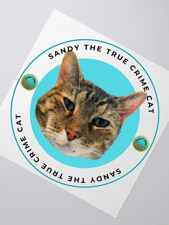Sandy the True Crime Cat product image (2)