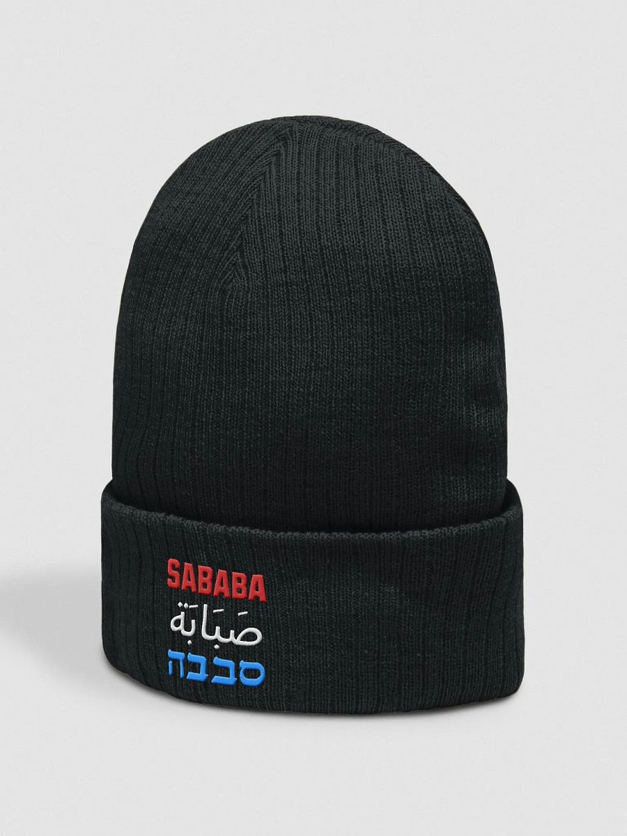 Sababa Embroidered Beanie product image (4)