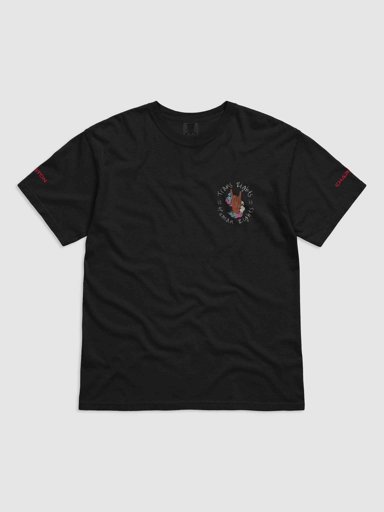 Trans Rights T-Shirt product image (3)