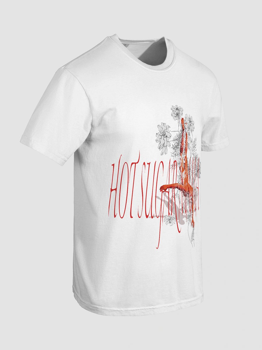 HSM 2 product image (8)