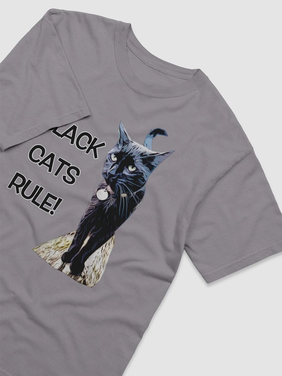 Dexter Barn Cat Celebration Tee product image (8)