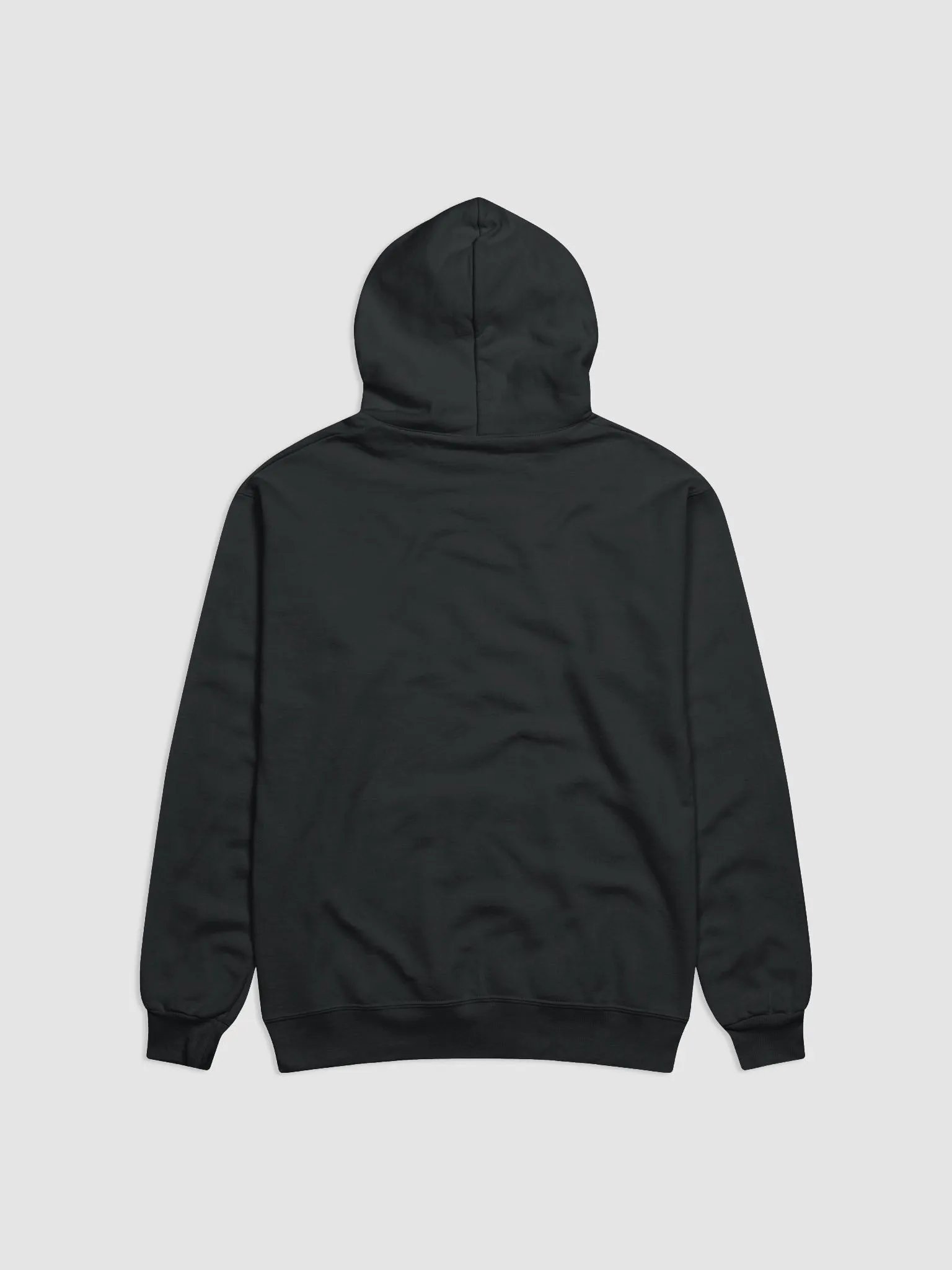 SylvanScholar Hoodie Regular product image (2)