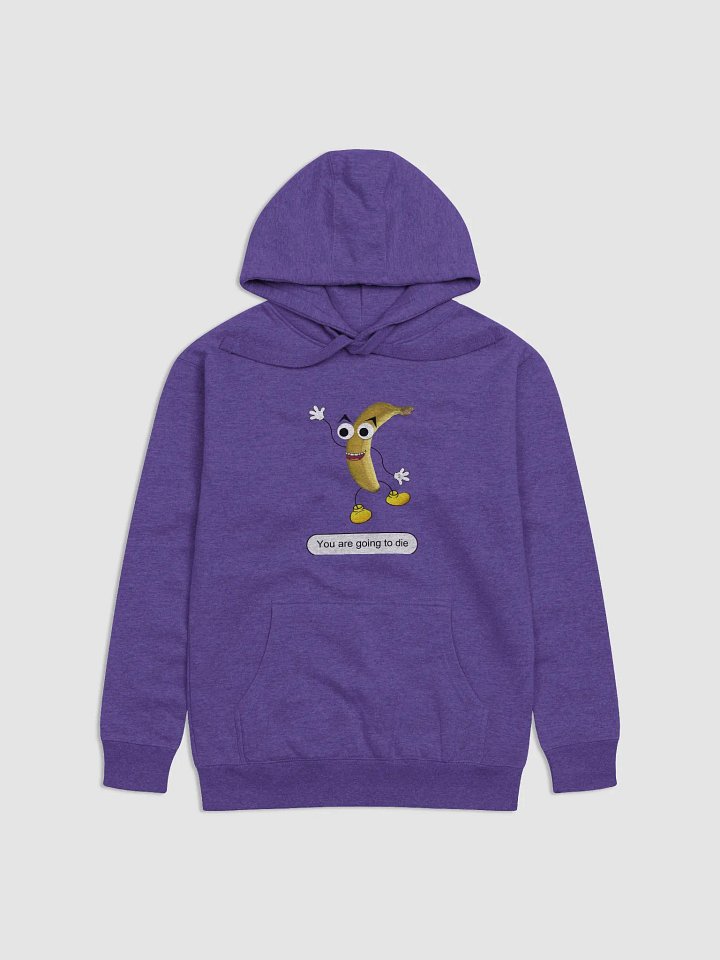 What I say to my characters | Cotton Heritage Unisex Premium Hoodie product image (1)
