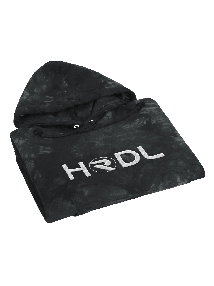 A Radiant Champion™ HODL Hoodie product image (4)