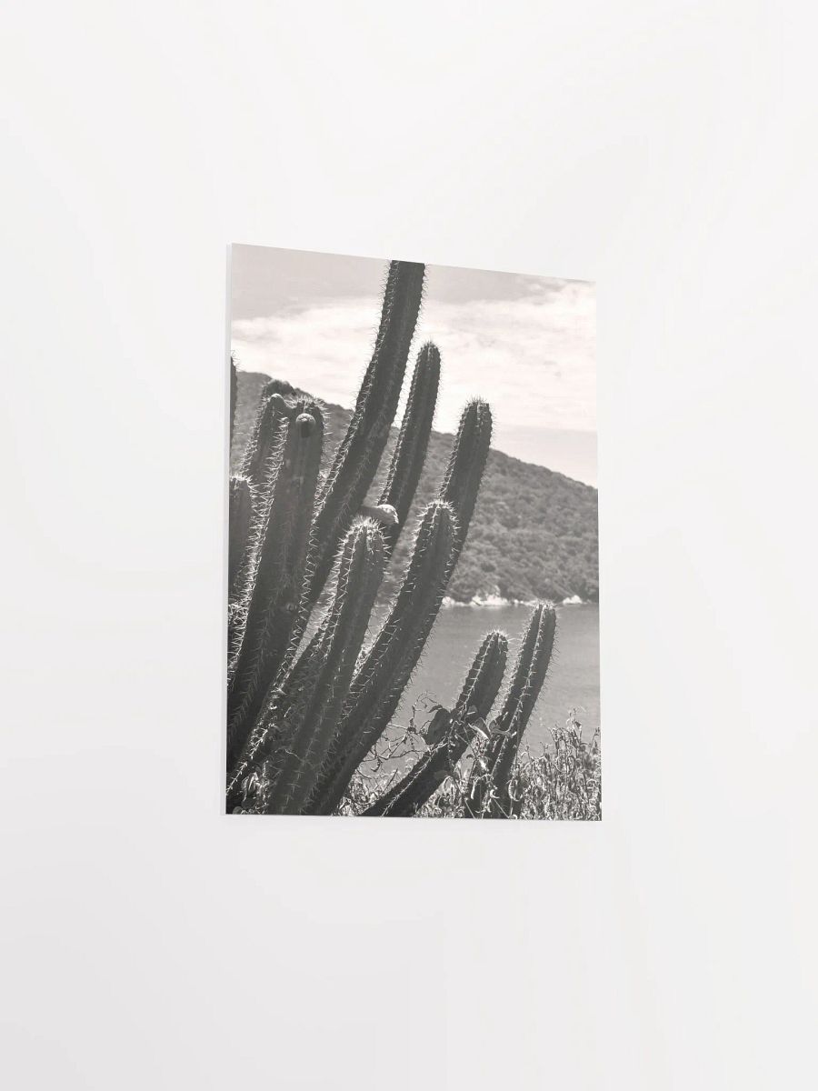 Mexico Lindo - Enhanced Matte Paper Poster product image (4)