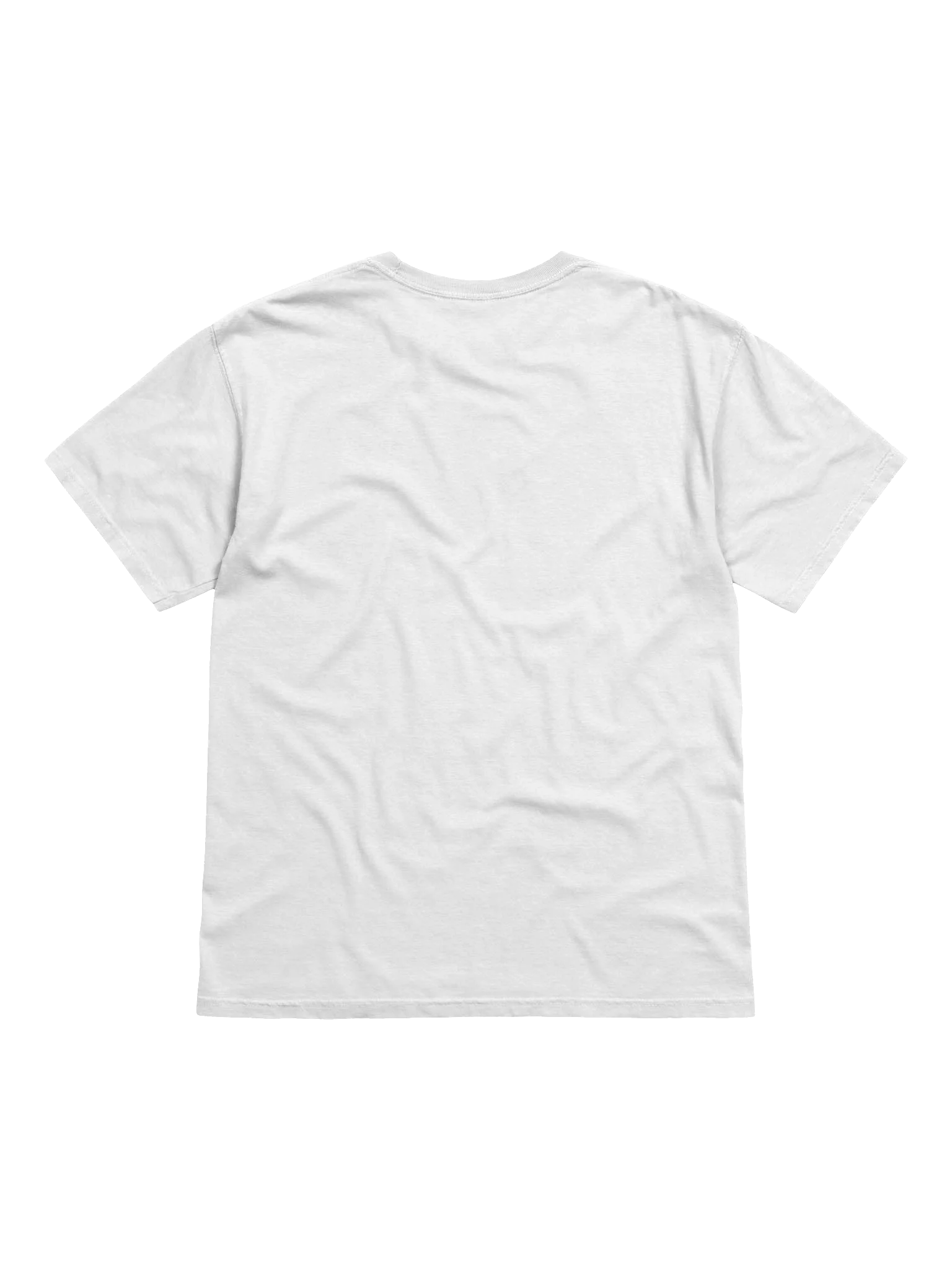 Rottweiler Pawsitive Attitude Tee product image (15)