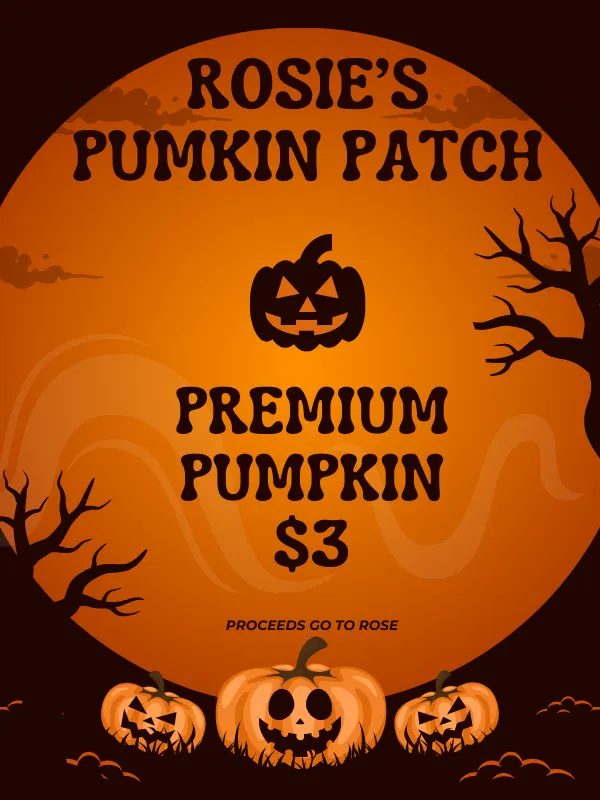 Premium Pumpkin (Scam-o-ween 2024) product image (1)