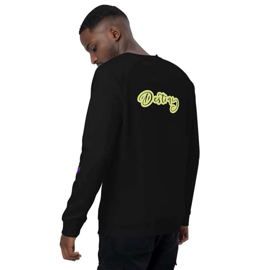 Destiny: Sweater product image (6)