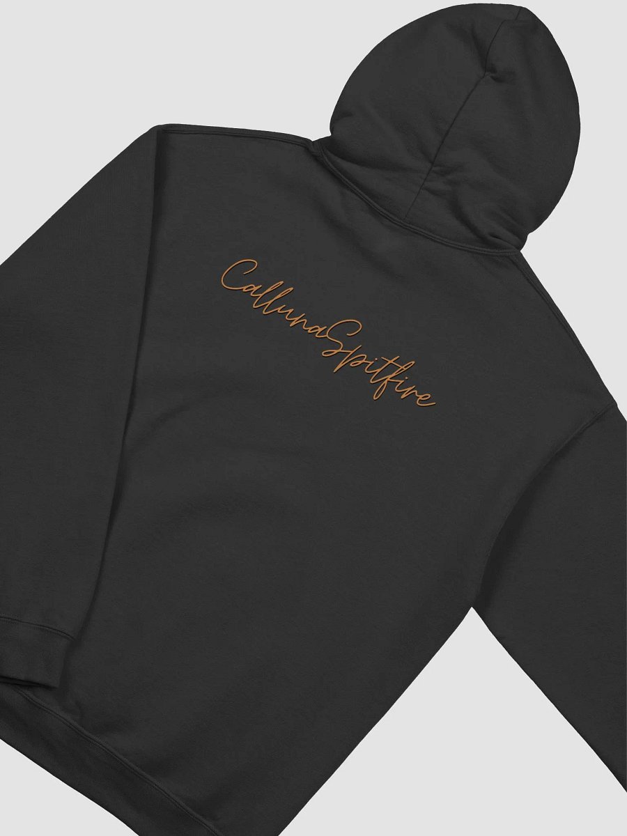 For Science! Hoodie product image (3)