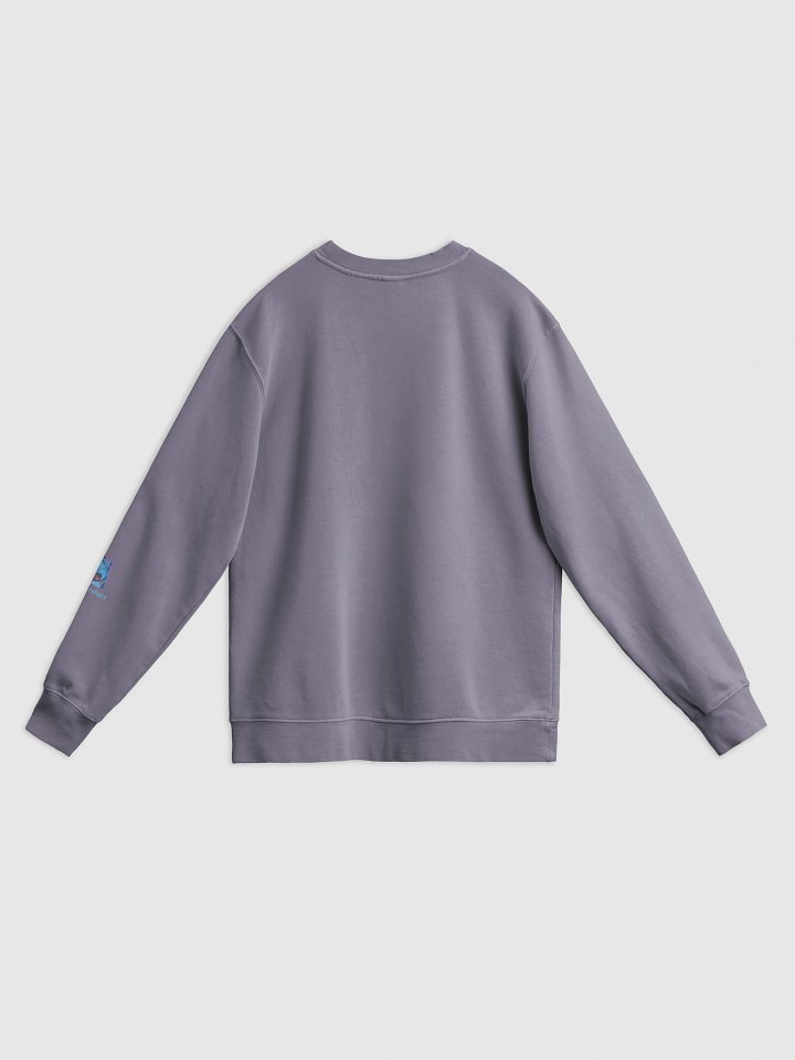 It's Frickin Winter - Pigment Dyed Crewneck product image (2)