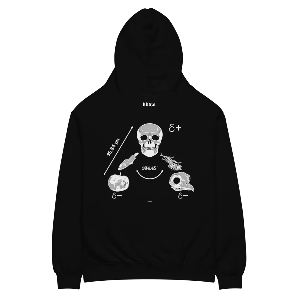 Saga Hydropolitique ( Black Edition ) product image (11)