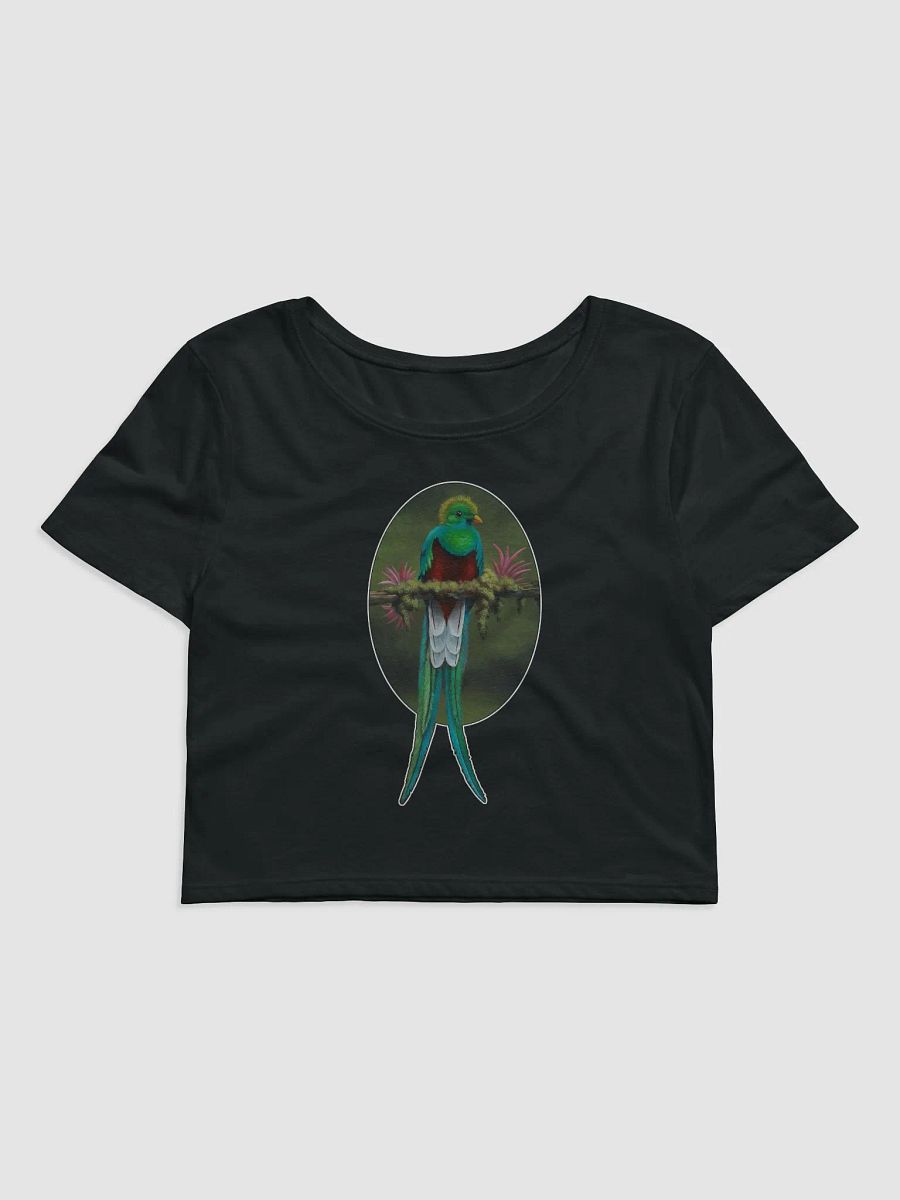 Resplendent Quetzal - SFA Crop Tee product image (1)