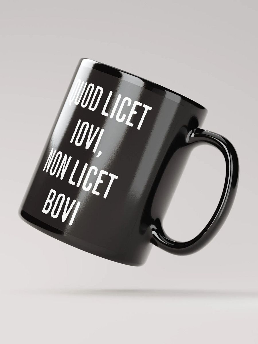 Quod Licet Iovi, Non Licet Bovi Mug product image (5)