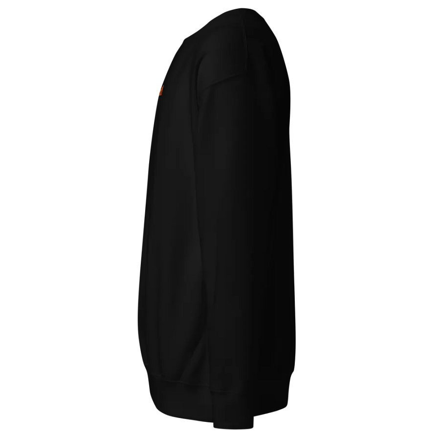 [DAT1] Premium Black Sweatshirt w/Embroidered logo (mango logo) product image (3)