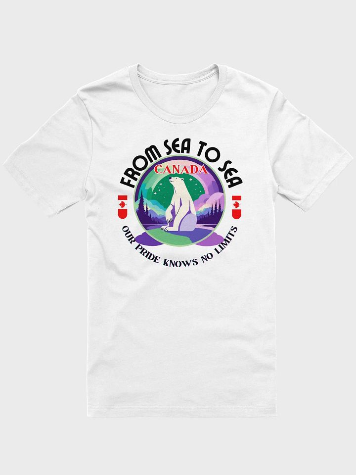 Northern Lights Pride T-Shirt product image (17)