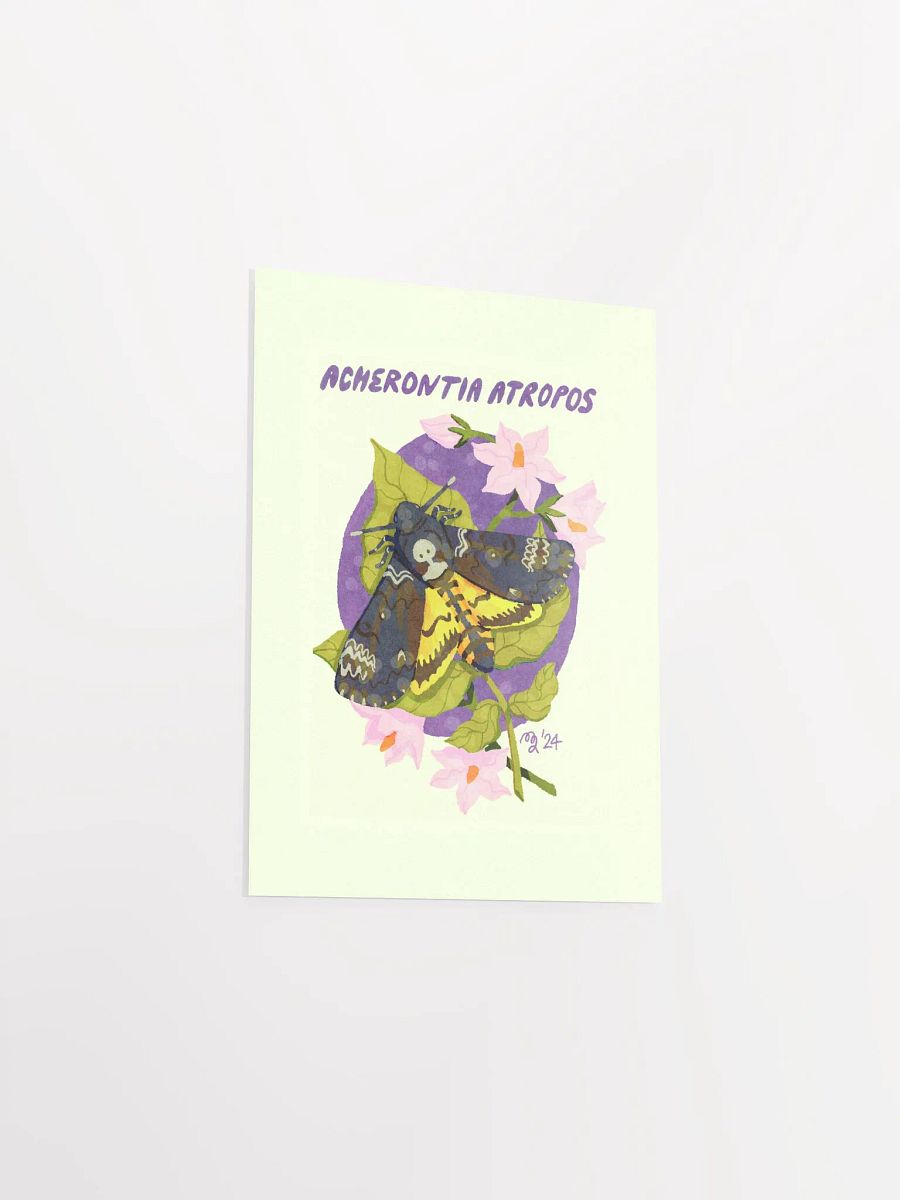 Death's-Head Hawk Moth Print product image (6)