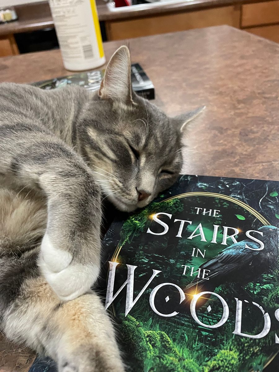 Signed Copy of The Stairs in the Woods Hardback w/ Dust Jacket product image (3)
