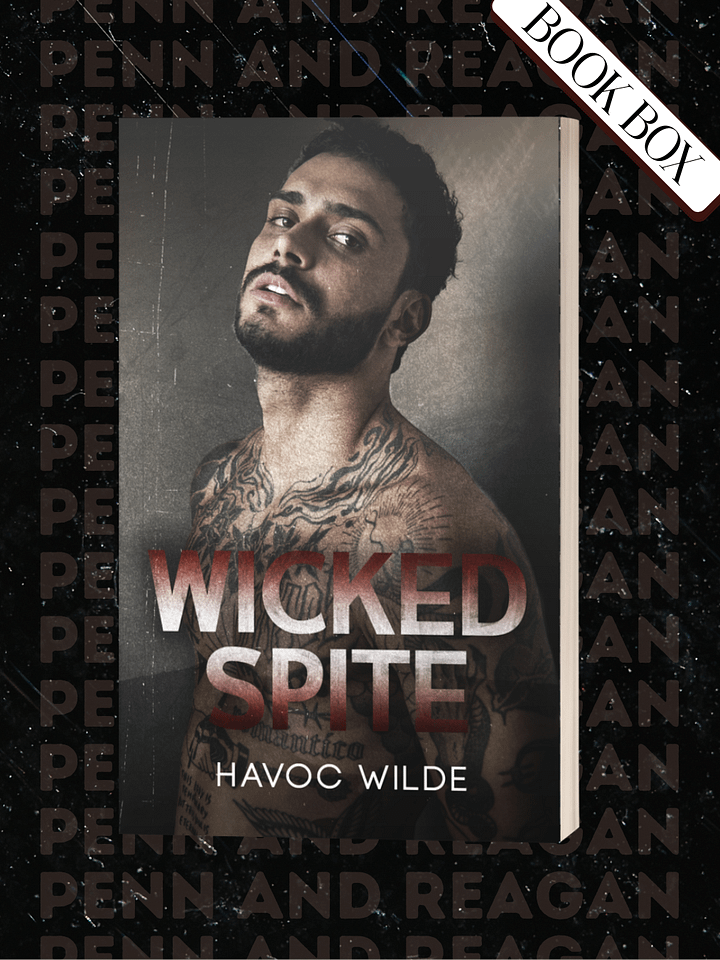 Wicked Spite Book Box product image (1)