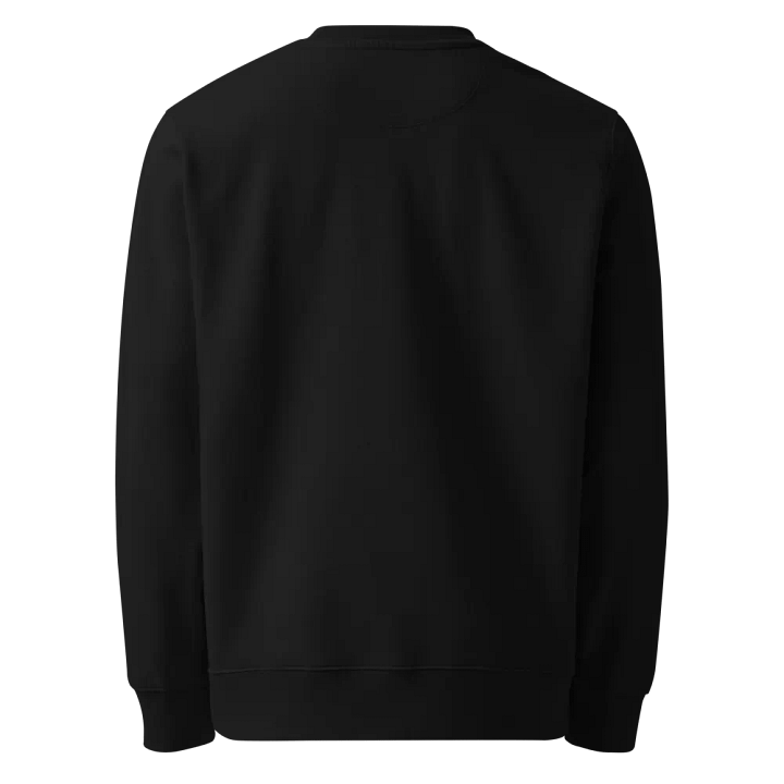 Kid Airplane (Stanley/Stella Unisex Organic Sweatshirt) product image (6)