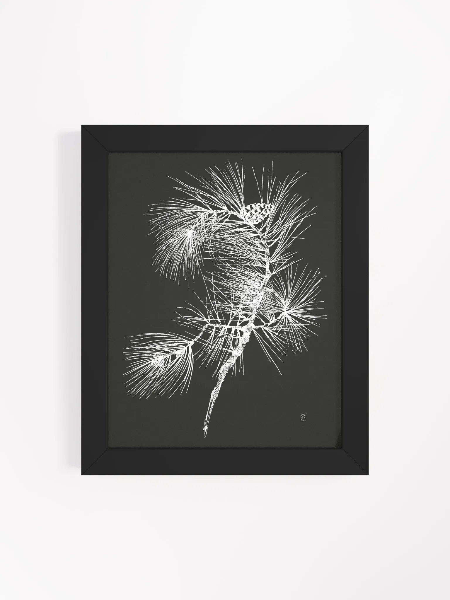 Botanical Elegance: Pine Branch Poster - Pine Branch Dark product image (48)