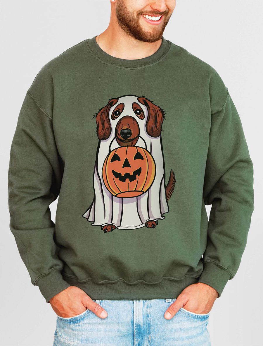 Funny Halloween Longhaired Dachshund(Red) Sweatshirt | Funny Doxie/Wiener Wearing a Ghost Costume and Holding a Pumpkin Basket product image (15)