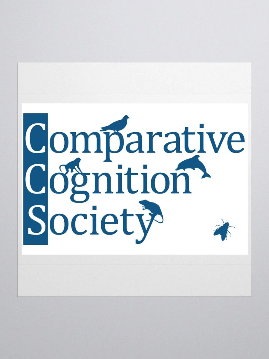 CCS logo stickers product image (1)
