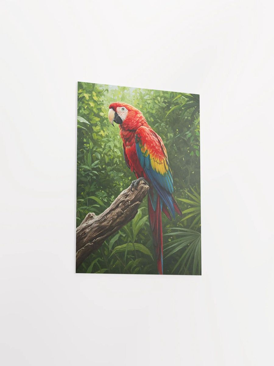 Scarlet Macaw Oil Painting Poster product image (35)
