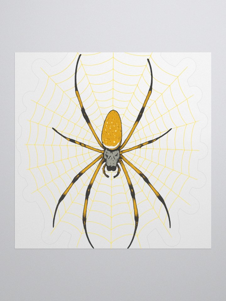ORB WEAVER STICKER product image (2)