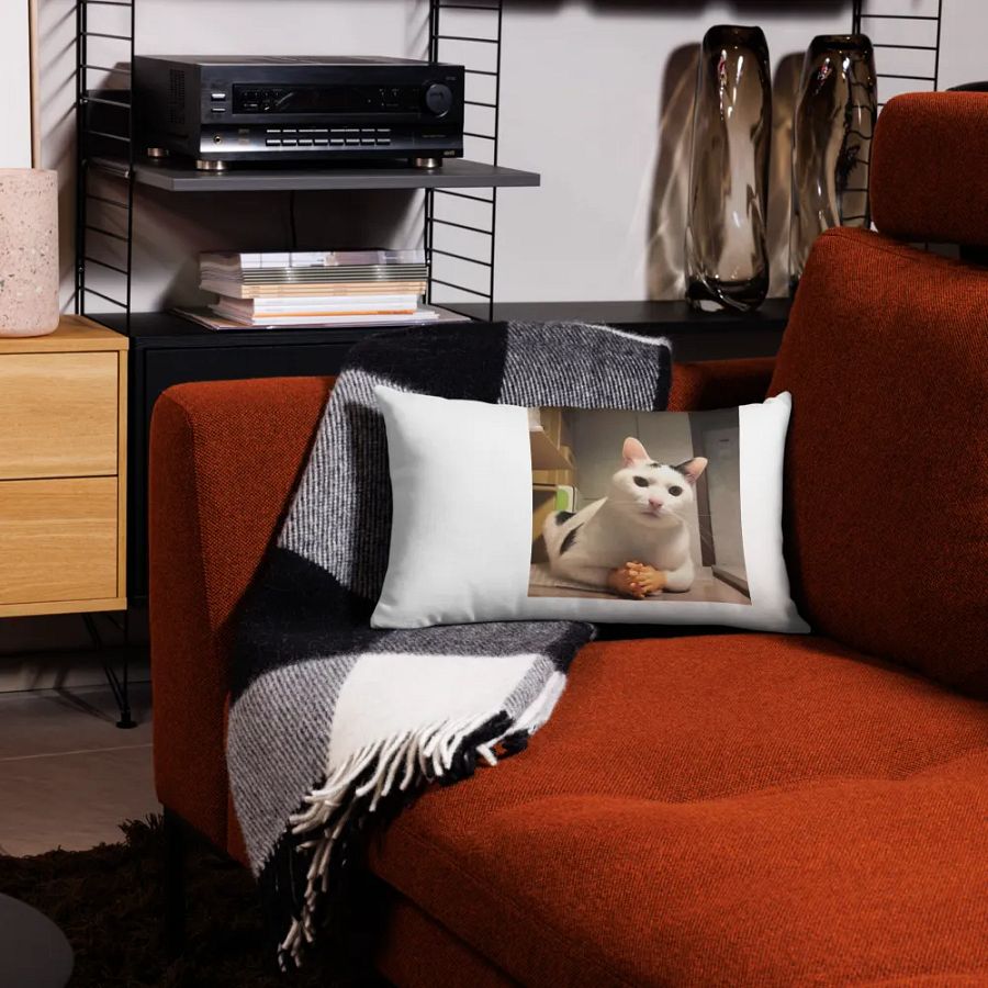 Pawsitively Human Pillow Case product image (15)