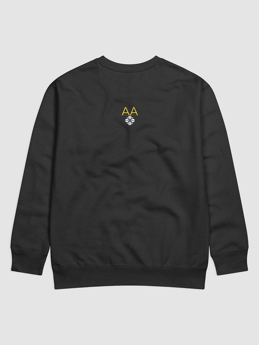 F Todd sweatshirt product image (2)