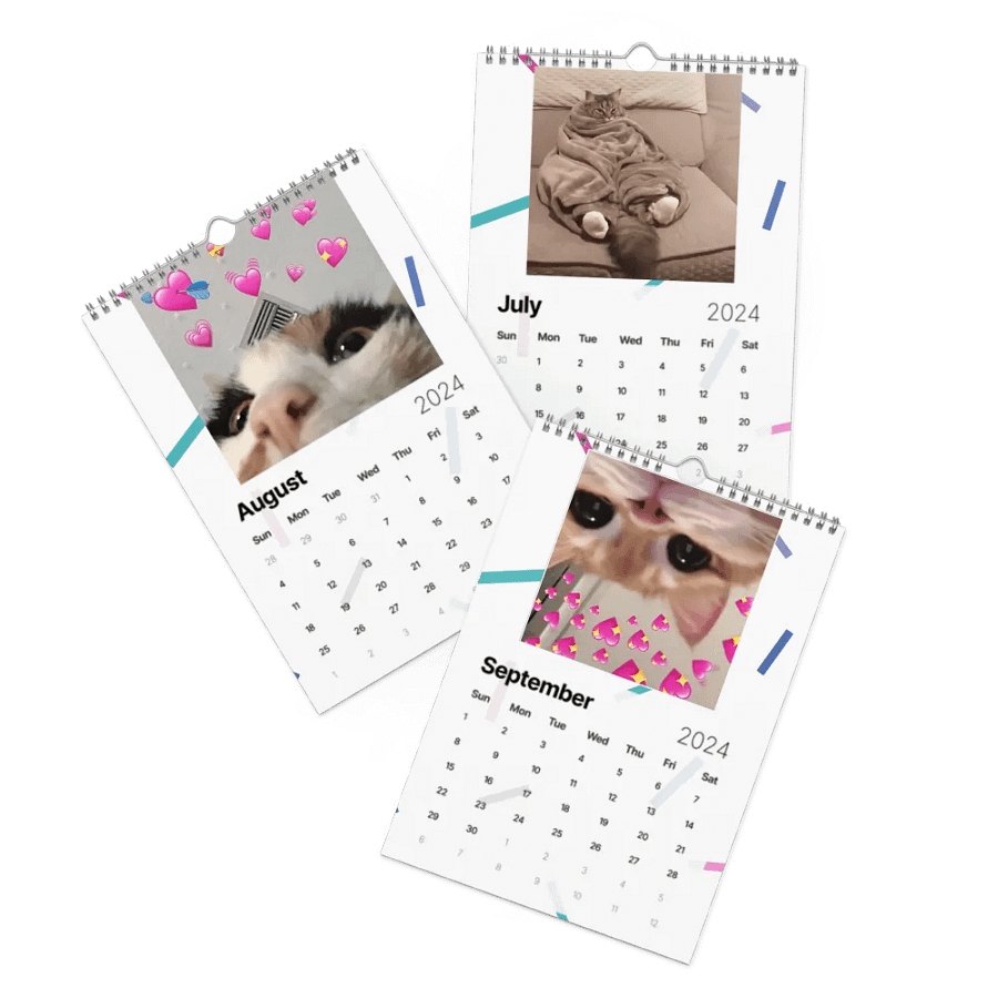 Wall Calendar (2024): Meme Cats product image (11)