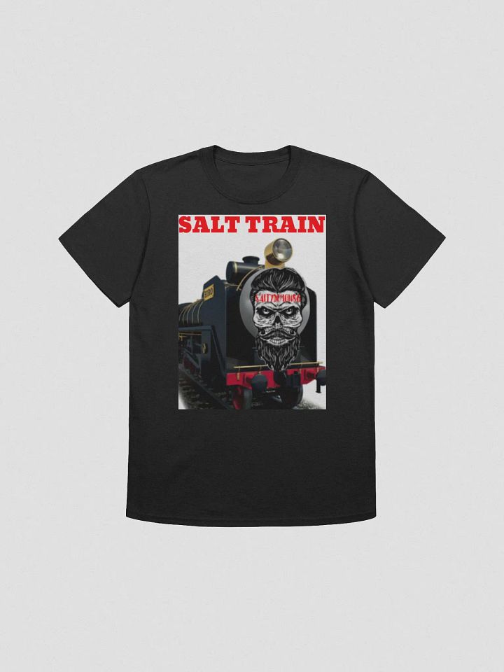 SALT TRAIN product image (1)