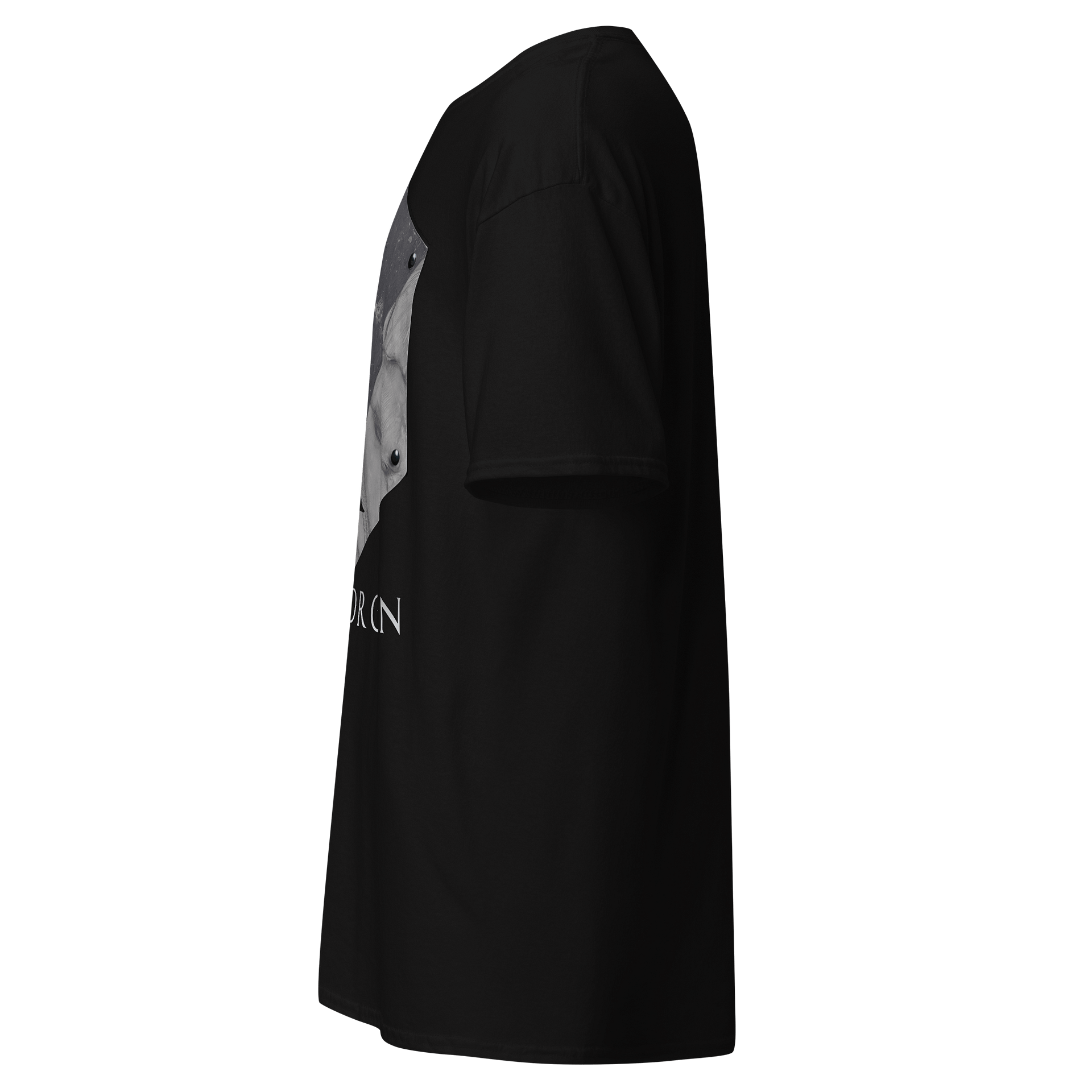 Isohedron T-Shirt product image (5)