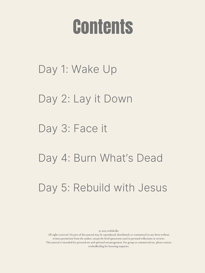 Faith Reset: Burn the Religion & Rebuild the Fire product image (2)