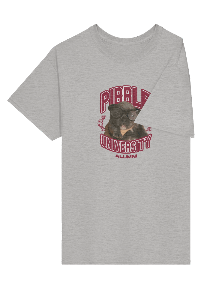 PIBBLE UNIVERSITY ALUMNI TEE product image (2)