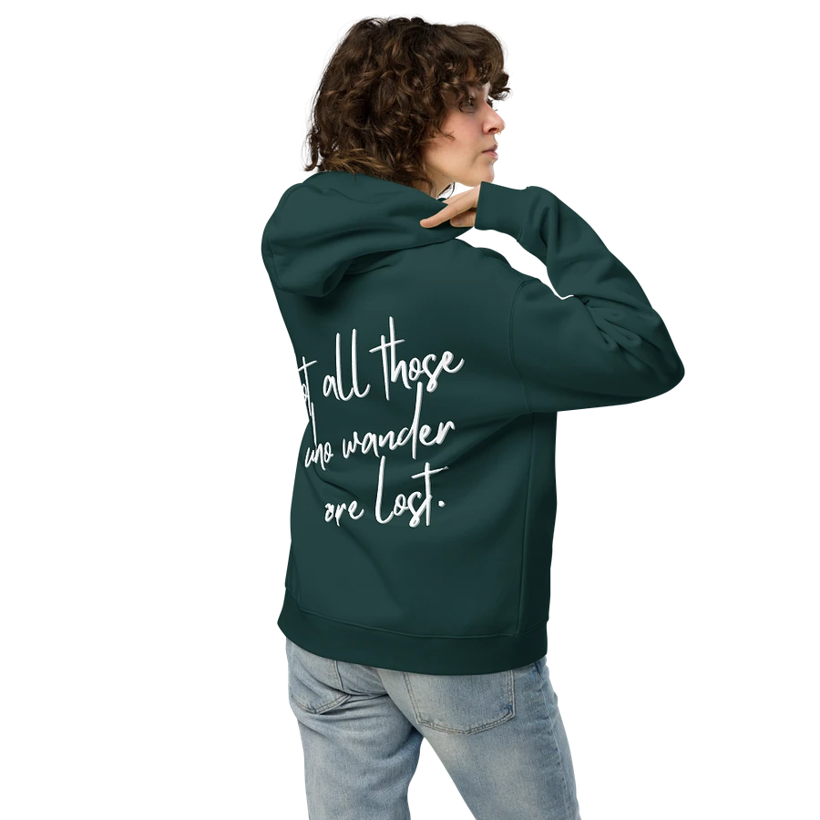 Not All Those Who Wander Are Lost Hoodie product image (5)