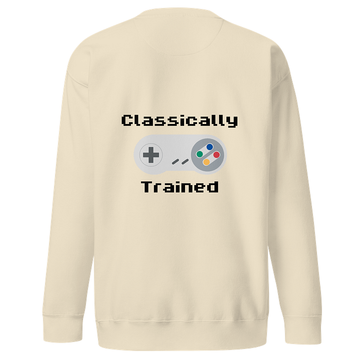Classically Trained Embroidered Sweatshirt product image (15)